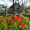 Miloravas Guest House & Wine Cellar