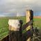 Appartement - B&B de Koog