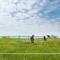 F-1072 Haus am Strand FeWo 03 strandnah, Balkon, Meerblick - 朱列斯拉赫