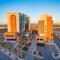 Ibis Torreon