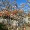 Bed and Breakfast Het Emmapark Medemblik