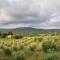 Apartment immersed in the green of the Maremma