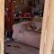 Chalet Le Cerf