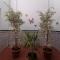 Vivienda Rural Antares
