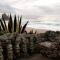 Beachy 2Bdrm in Santa Cruz w/ stunning Ocean View!