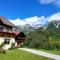 Pension Trillerhof - Ramsau am Dachstein