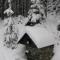Apartmany u Lipno