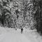 Apartmany u Lipno