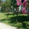 Ampeli Apartments