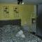 Apartamentos Fornells