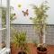 Vivienda Rural Antares