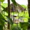 Pranayakulam Riverside stay in rustic village - Talayolaparambu