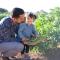 Llucmaçanes Gran Agroturismo