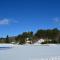 Chalet Alpine