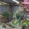 Murphs Surf Shacks