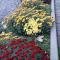 Lux GUEST HOUSe МUKACHEVO - 穆卡切沃