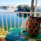 Studio cosy à Saint-Cyprien, vue mer, 22 m²