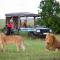 Nahubwe Safari Lodge