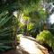 Palm Garden Papamoa Beach Paradise