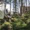 Gradonna Mountain Resort Chalets & Hotel