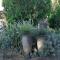 The Nook - Cradock