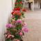 Apartments by the sea Metajna, Pag - 6466