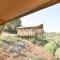 Salema Eco Camp - Sustainable Camping & Glamping