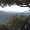 Lombre de la Glycine du Golfe de Saint Tropez