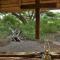 Muchenje self-catering Tents - Chobe