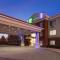 Holiday Inn Express Hotel & Suites Detroit - Farmington Hills, an IHG Hotel - Northville