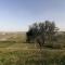 Tenuta Le More