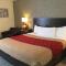 Econo Lodge Metro