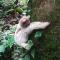 One Bedroom Villa on 20 Acres of Nature! "Bird Paradise"