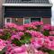 Appartement - B&B de Koog