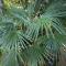 Palm Garden Papamoa Beach Paradise