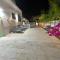 Villa white-design