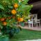 Villa Megna - Green Paradise B&B