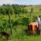 Agriturismo Pretenzano - Volterra