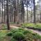 Natuurhuisje Pine & Oak 6 persoons