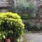 Barga Lucca Centro Storico Con giardino