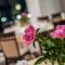 Hotel Mon Jardin