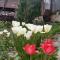 Li Yes Yerevan hotel