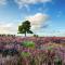 New Forest Lodges Bashley Park - New Milton