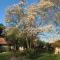 Le Jardin Sauvage
