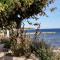Villa Le Sud