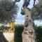 Villa DAnzi B&B