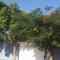 Vila Eco SPA