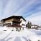 Family Friendly Chalet - Central with Beautiful Mountain Views - 蒂罗尔-泽费尔德