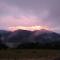 LEŚNY DWOREK 2