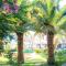 Angela Beach Hotel & Apts